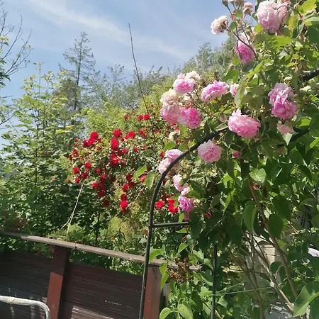 Na Gorce Holiday home Szczyrk