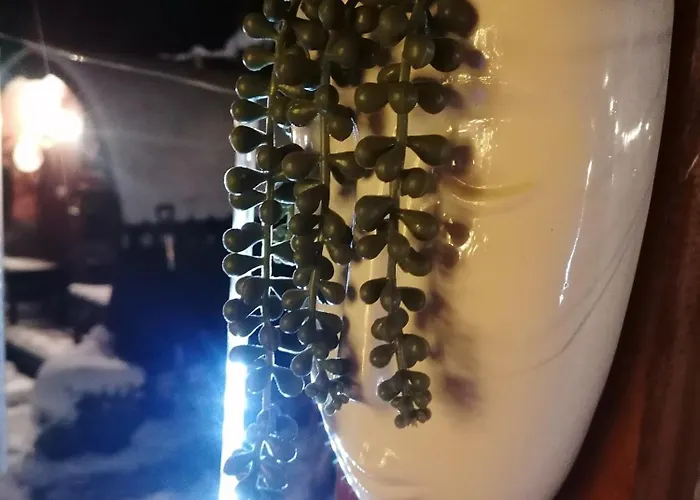 בית נופש Na Gorce